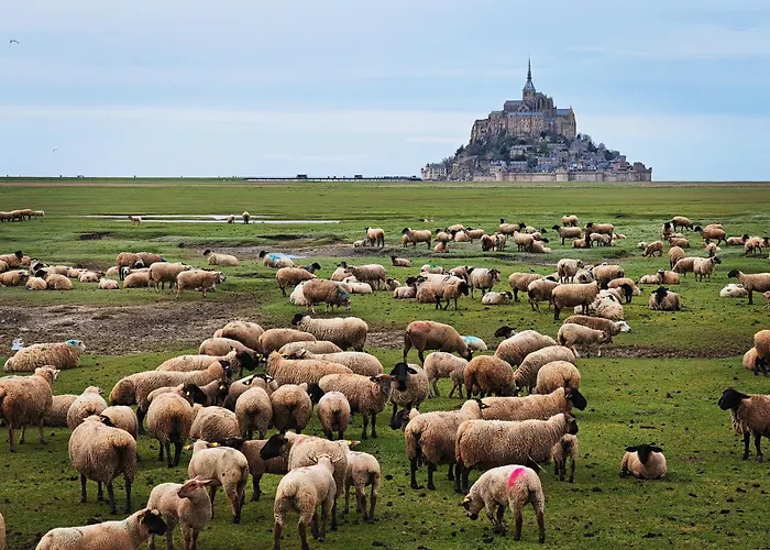 Apartment Domaine De L'isle Maniere *